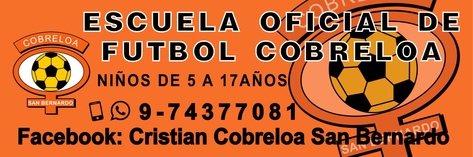 Escuela Oficial de Fútbol Cobreloa San Bernardo — niños de 5 a 17 años