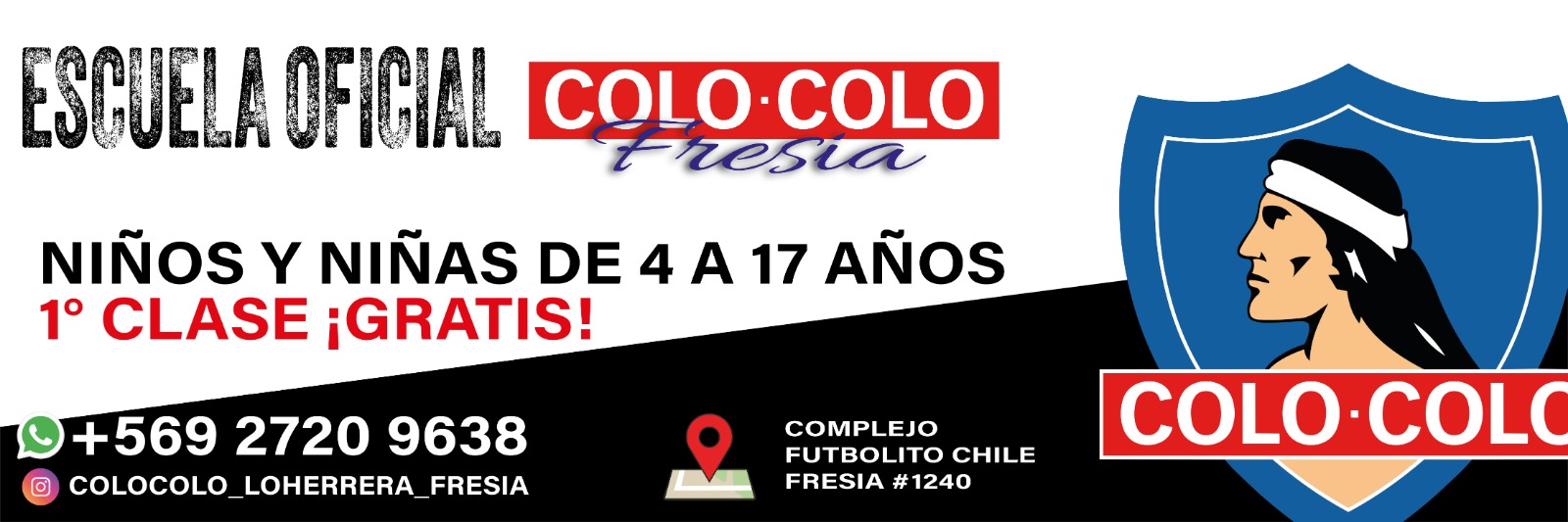 Escuela Oficial Colo-Colo Fresia — niños y niñas de 4 a 17 años, primera clase gratis